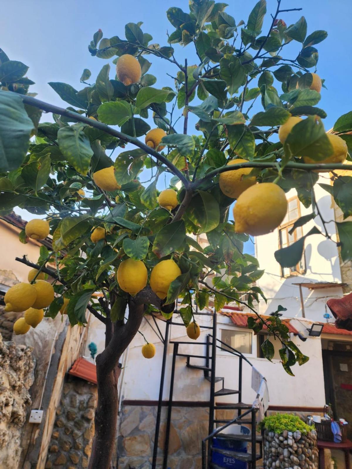 Aksaray Boutique Hotel Nicosia Esterno foto